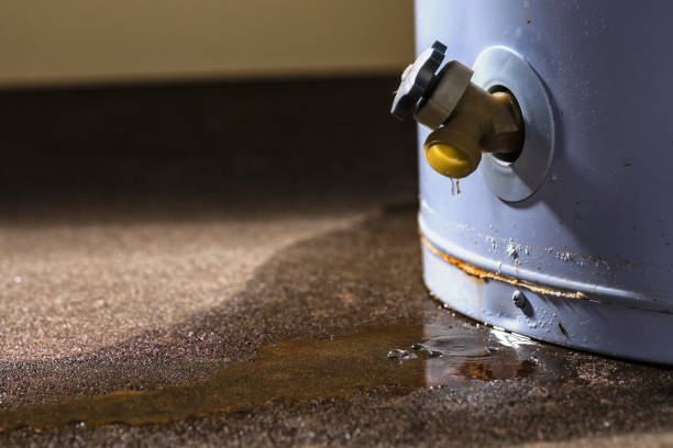 Best Sewage cleanup and water damage restoration  in Shrewsbury, MO