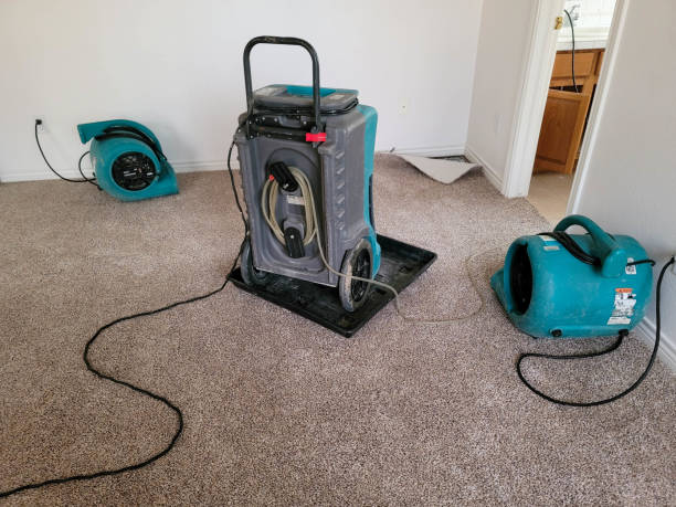 Best Flood restoration services  in Shrewsbury, MO