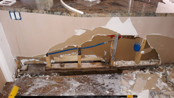  Shrewsbury, MO Water damage restoration Pros