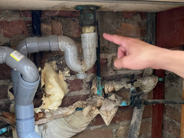 Best Professional water damage repair  in Shrewsbury, MO