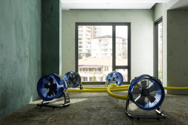 Best Mold removal after water damage  in Shrewsbury, MO