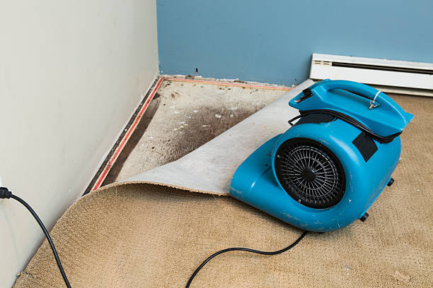 Best Emergency water damage restoration  in Shrewsbury, MO